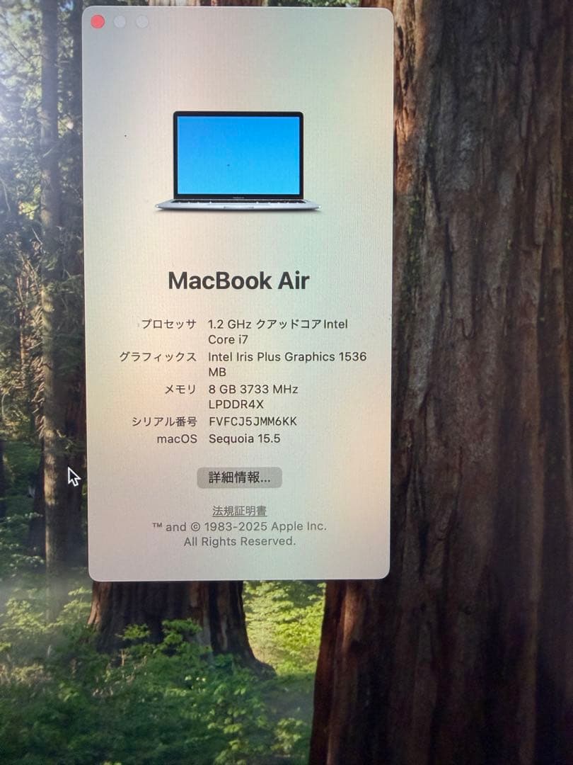 【美品】MacBook Air 2020 13インチ 本体のみ A2179