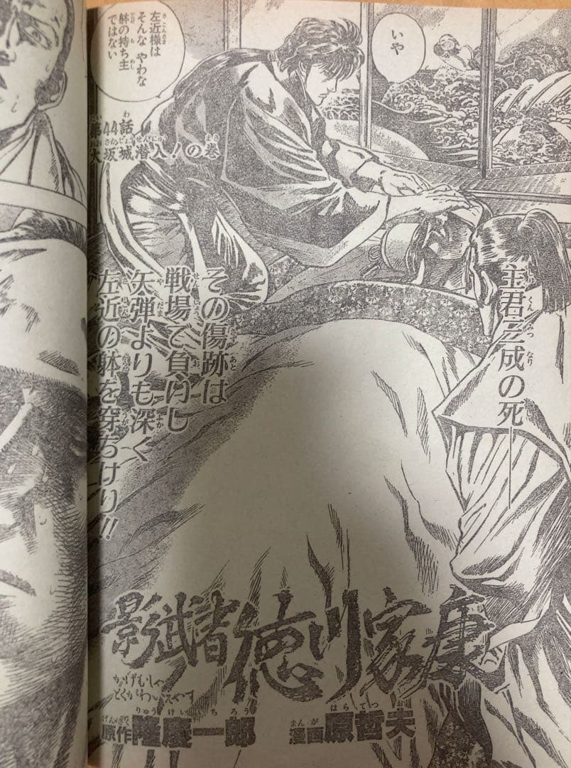 週刊少年ジャンプ　1995年7号　表紙&カラーグラビア特集/ ドラゴンボール