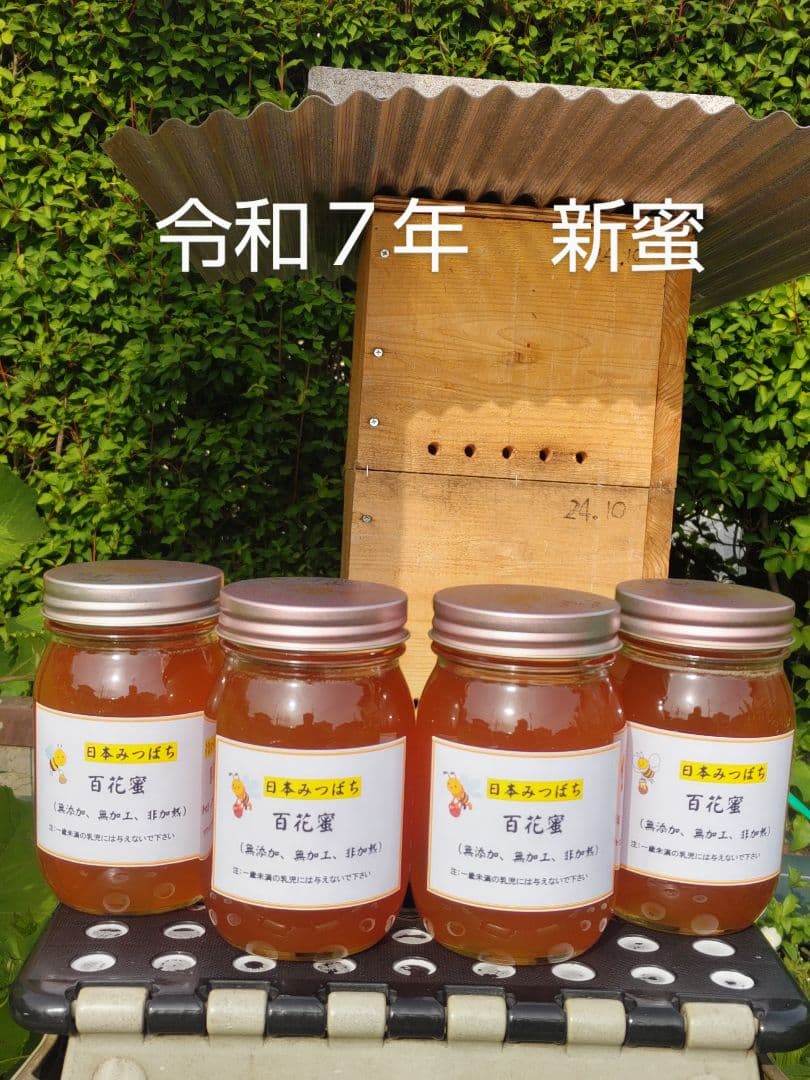 新蜜　日本ミツバチの百花蜜（１年物）㊶　550✕4本（2.2㎏）