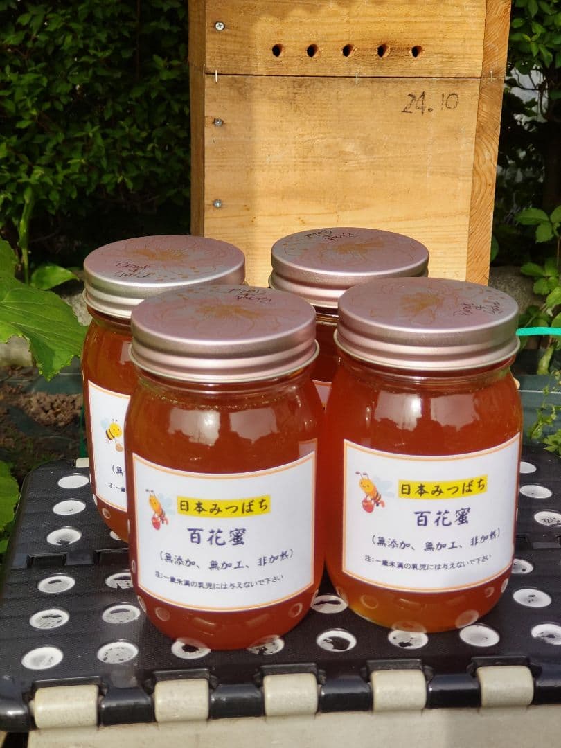 新蜜　日本ミツバチの百花蜜（１年物）㊶　550✕4本（2.2㎏）