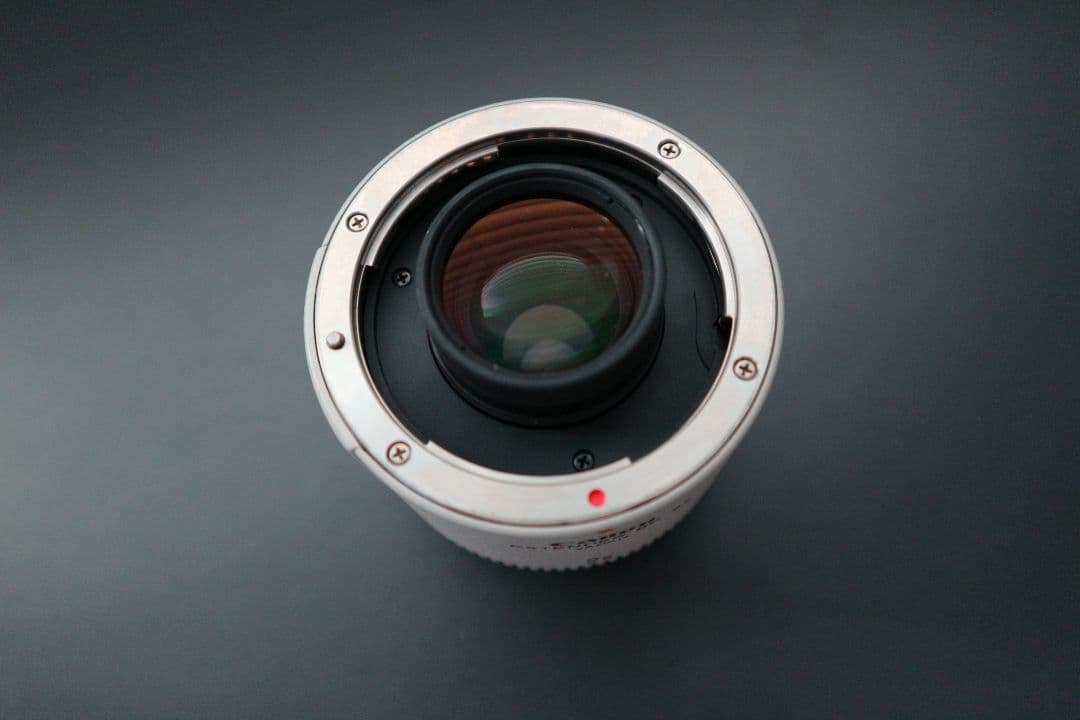 レンズ(単焦点) Canon EXTENDER EF 2x