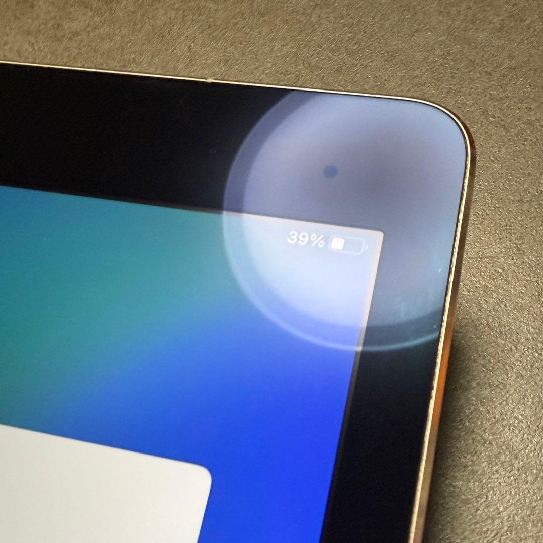 iPad Pro 9.7インチ Cellular 256GB MLQ62J/A