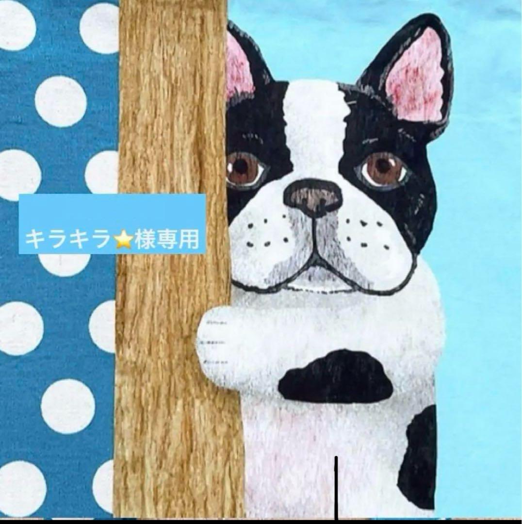 キラキラ⭐️　　あんぱん＆猫