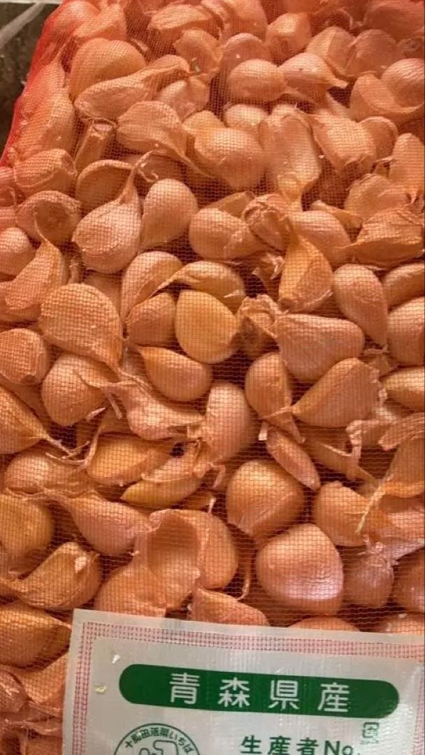 青森県にんにくタネ20Kg M