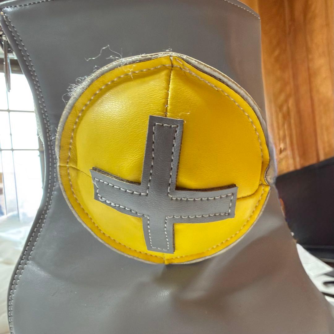 ポケモンSV ナンジャモ フルセット