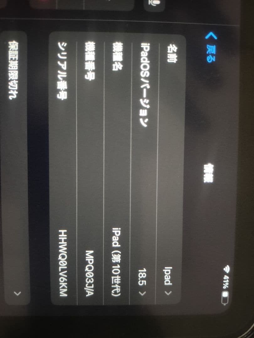 Apple iPad シルバー 10世代 ペンタブフィルム、カバー付き