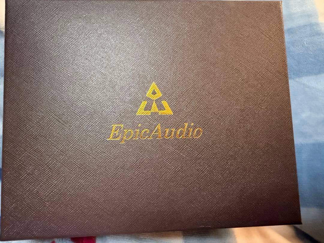 Epic Audio Schizophrenia 有線イヤホン