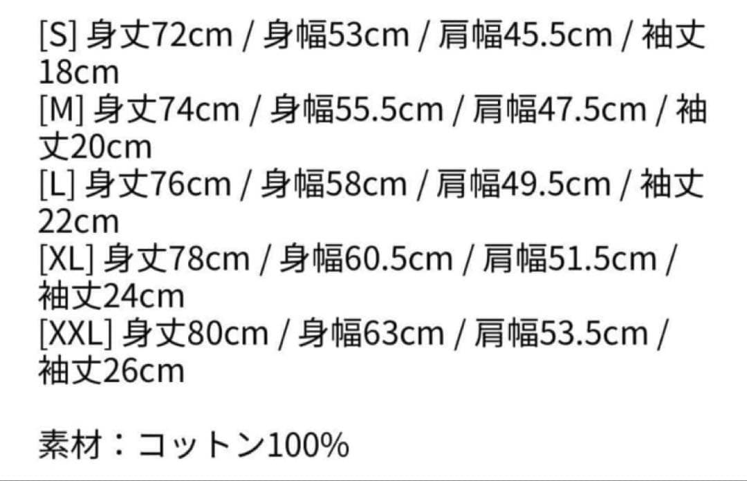 Lady Gaga Mayhem Ball ツアーTシャツ　Sサイズ