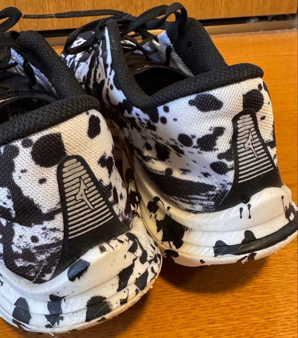 ミズノ ウエーブリベリオンプロ 書き初めカラー