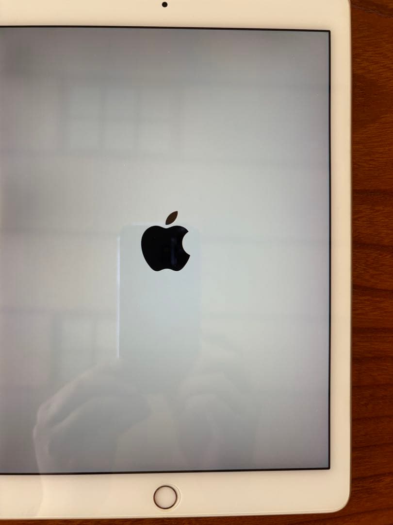 Apple iPad Pro ゴールド Wi-Fiモデル　256GB