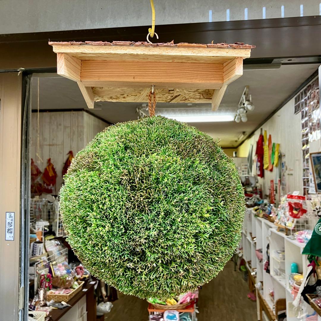 杉玉【屋根付き】③