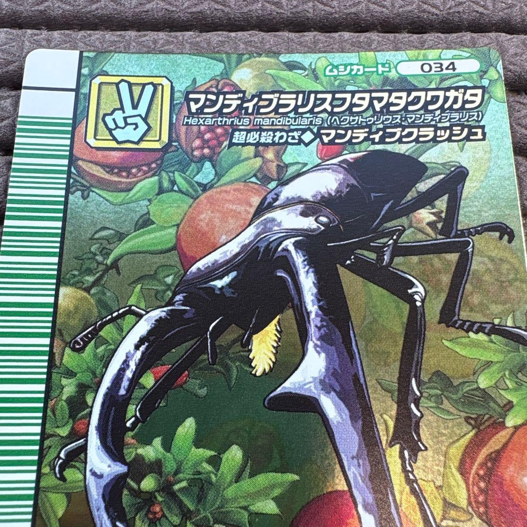希少 美品 ムシキング マンディブラリスフタマタクワガタ 5周年 緑バーコード