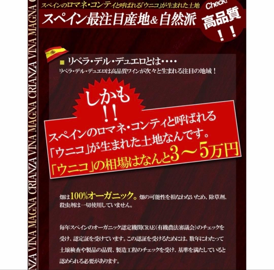 ヴィーニャ マグナ クリアンサ ドミニオ バスコンシリョス 赤ワイン 2本