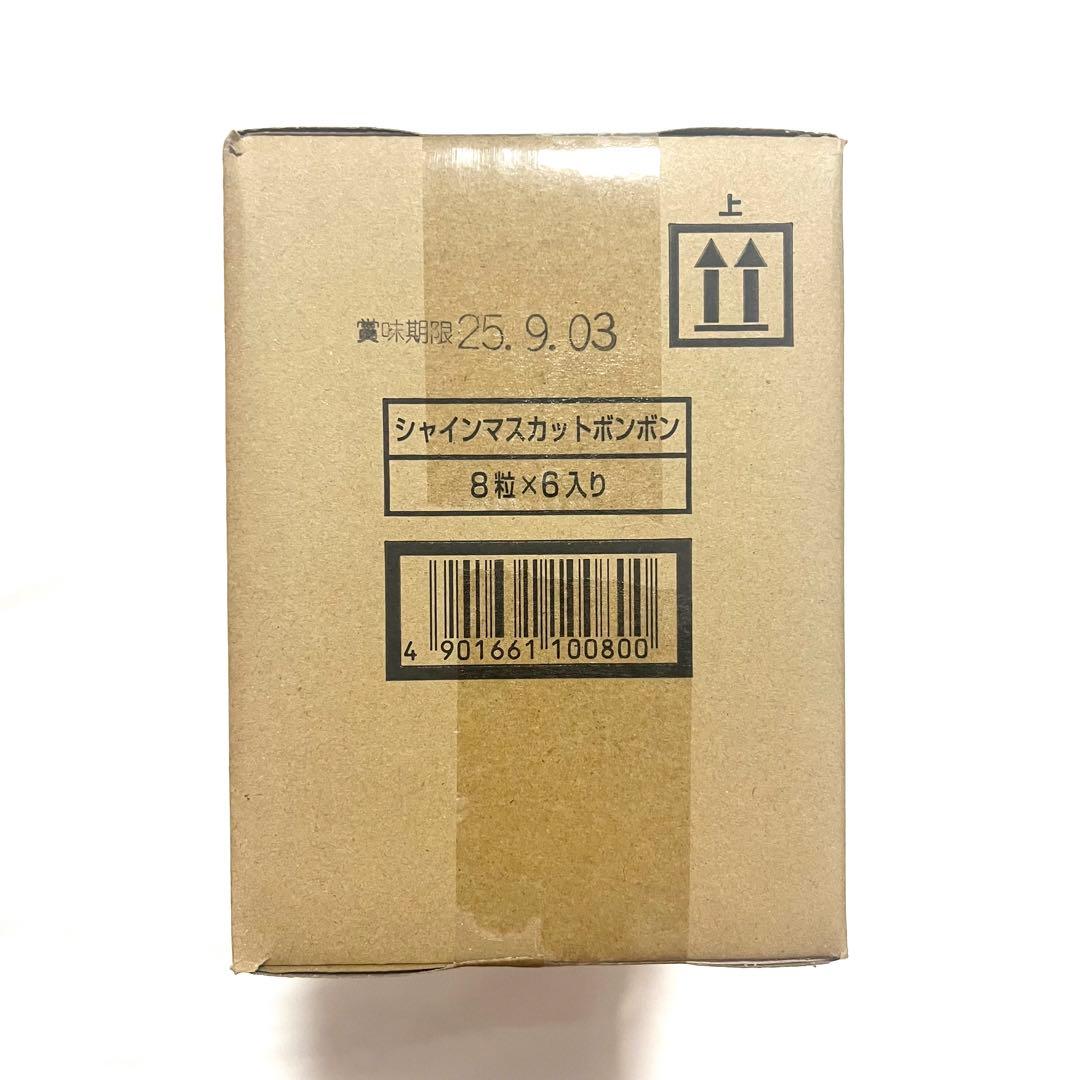 シャインマスカットボンボン 1箱 6袋 セット 未開封