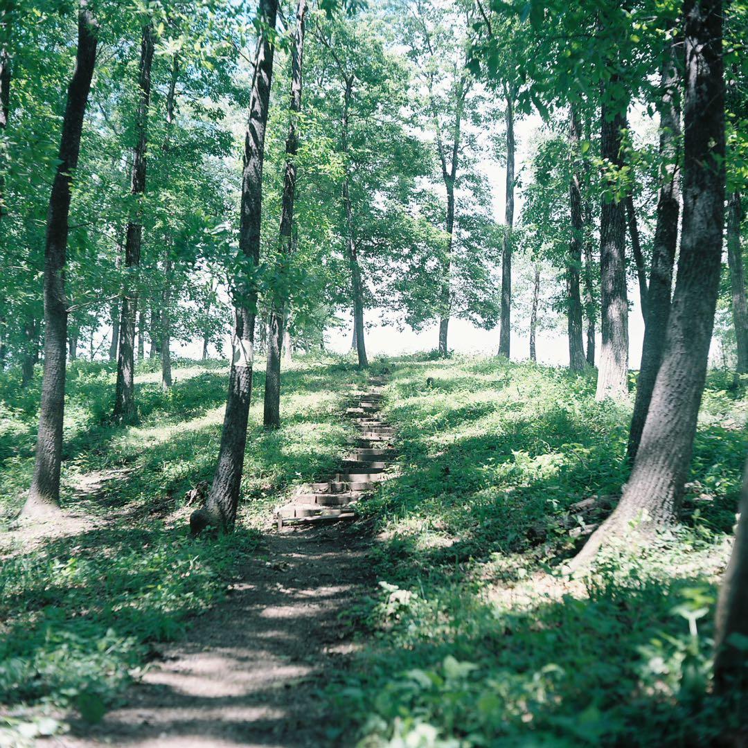 完動品◎Minolta AUTOCORD ミノルタ 二眼レフ フィルムカメラ