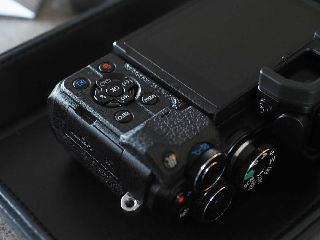 1月購入！ OLYMPUS OM-D E-M10 Mark Ⅳ　撮影1112枚