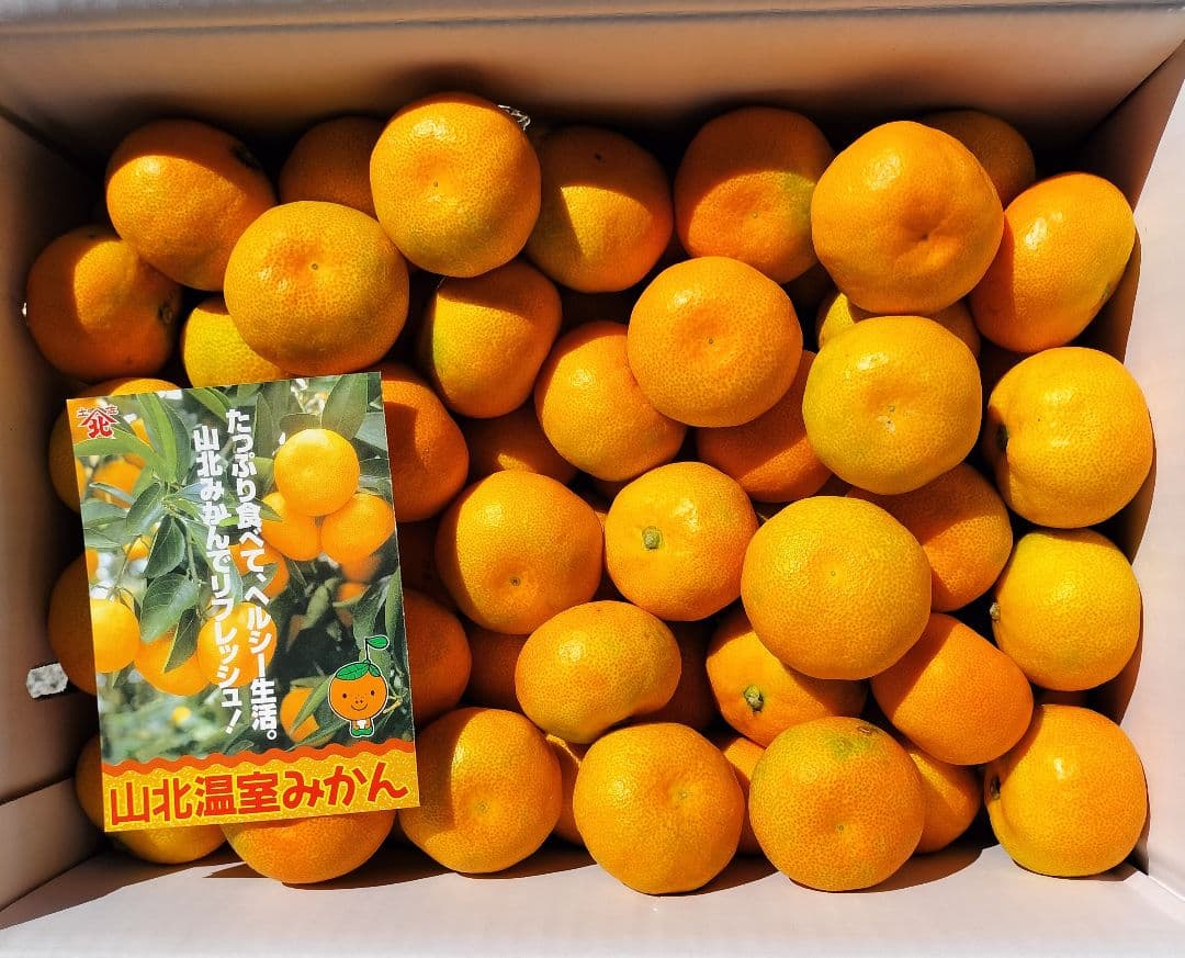 コスモスりんご　高知産温室山北みかん　Ｓサイズ　５Kg