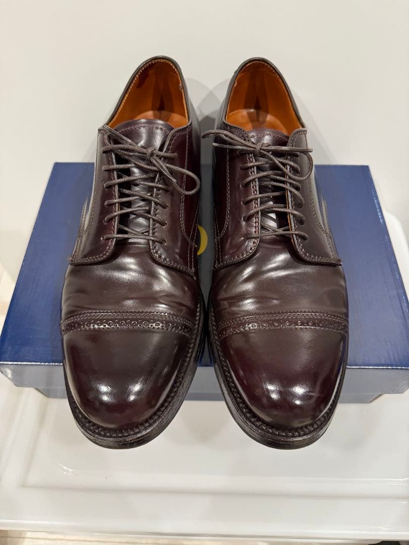 Aldenパンチドキャップトゥ 8.5D