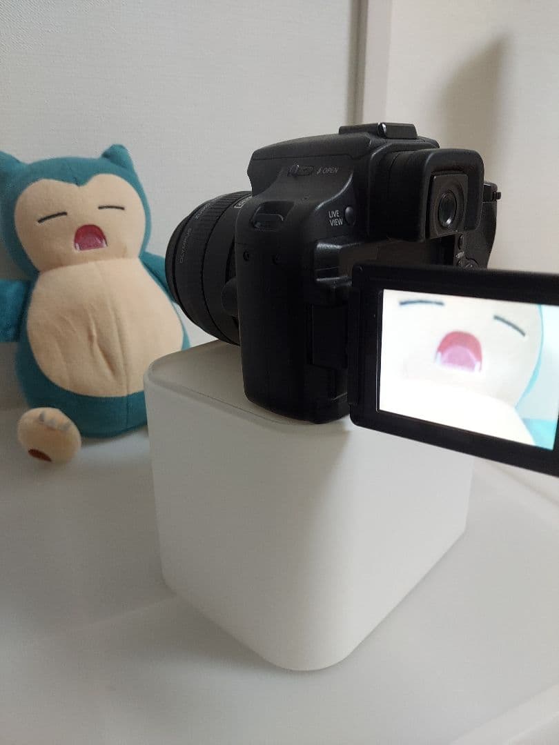 美品　Panasonic　LUMIX DMC-L10 付属品多数