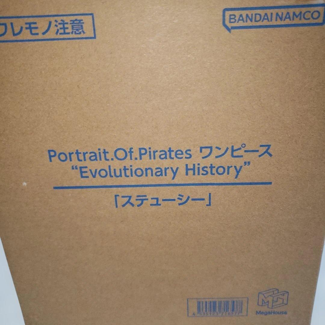 ほ*。様 P.O.Pワンピース“Evolutionary History”「ステ