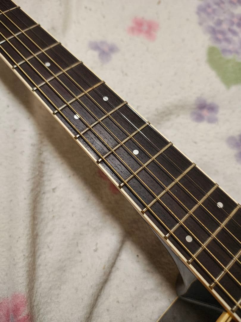 16日まで価格！日本製 極虎Apple ACW-4BS/エレアコ