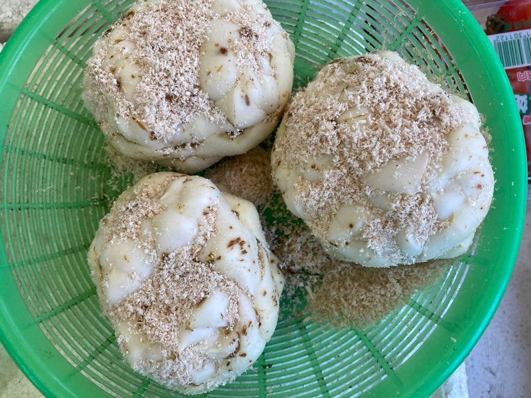 北海道産　百合根　ゆりね　ゆり根２Lサイズ33個 ５k JAようてい