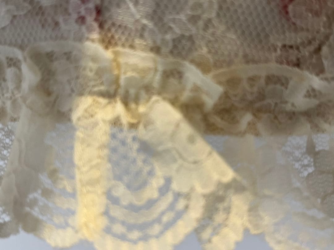 ちーたんでございます。さえら　アキアカネ　難あり(未使用) 大きなカゴ