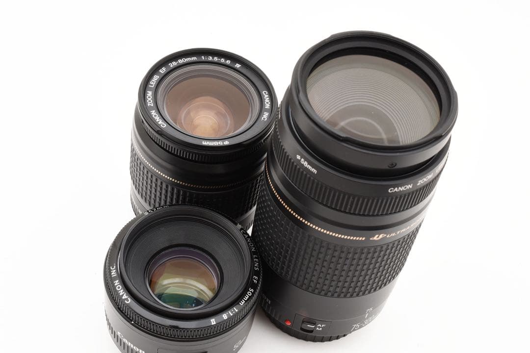 保証付き☆Canon EOS 5D Mark IV標準&望遠&単焦点レンズセット