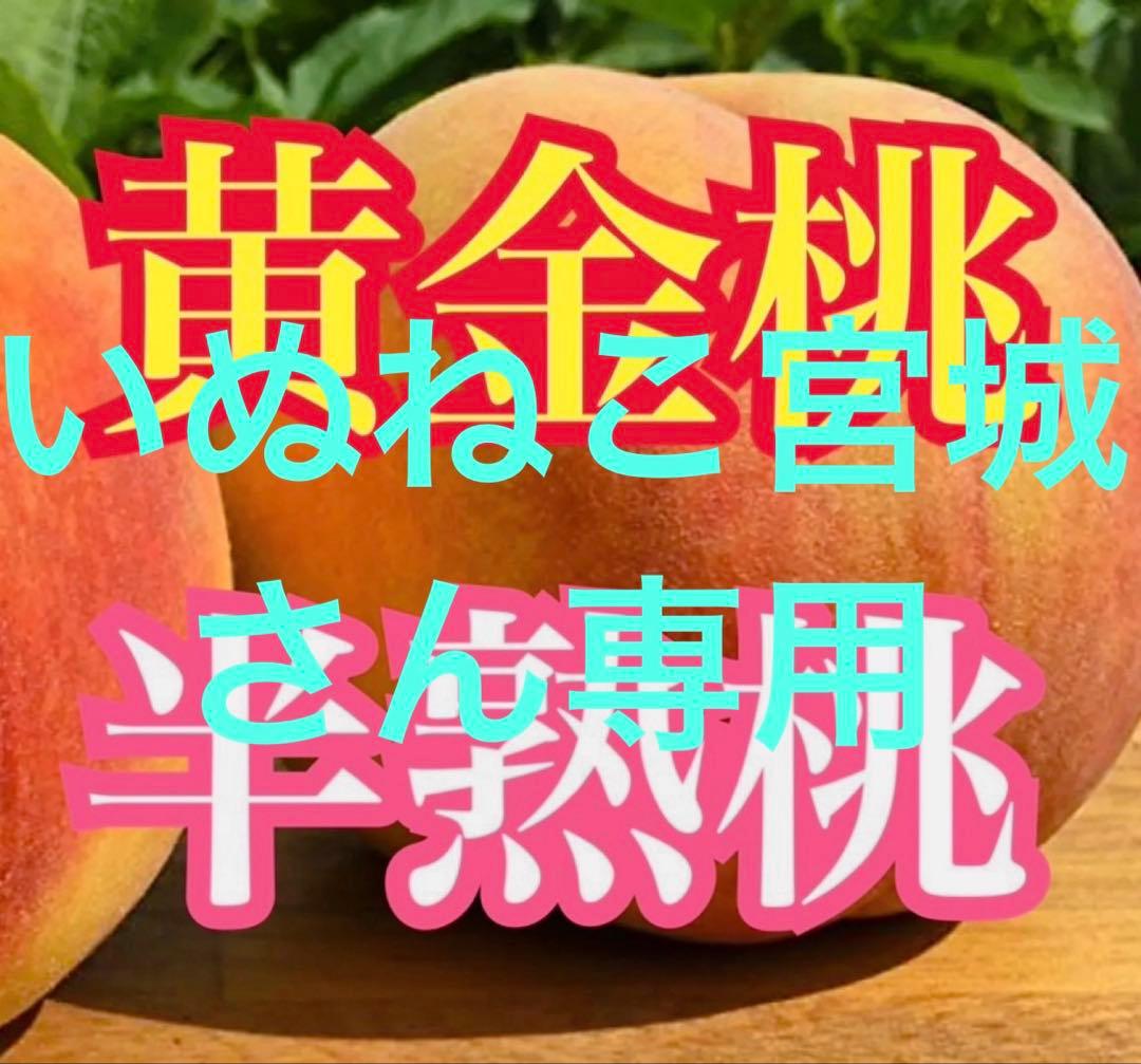 送料無料‼︎黄金桃✖️半熟桃mix 5kgずつ
