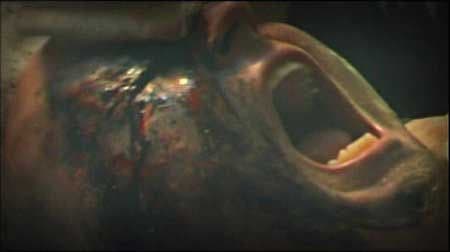 【廃盤】Melancholie der Engel DVD　ホラー グロテスク