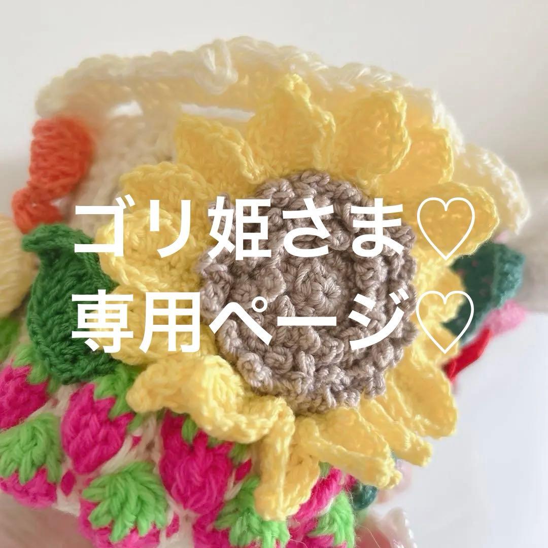 ˚✧₊⁎❝᷀ົཽゴリ姫さま♡専用ページ˚✧₊⁎❝᷀ົཽ