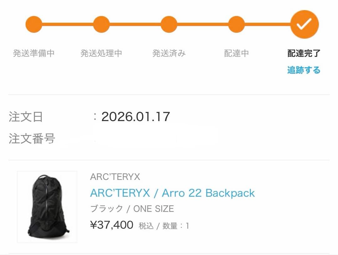極美品　現行　arc'teryx arro22