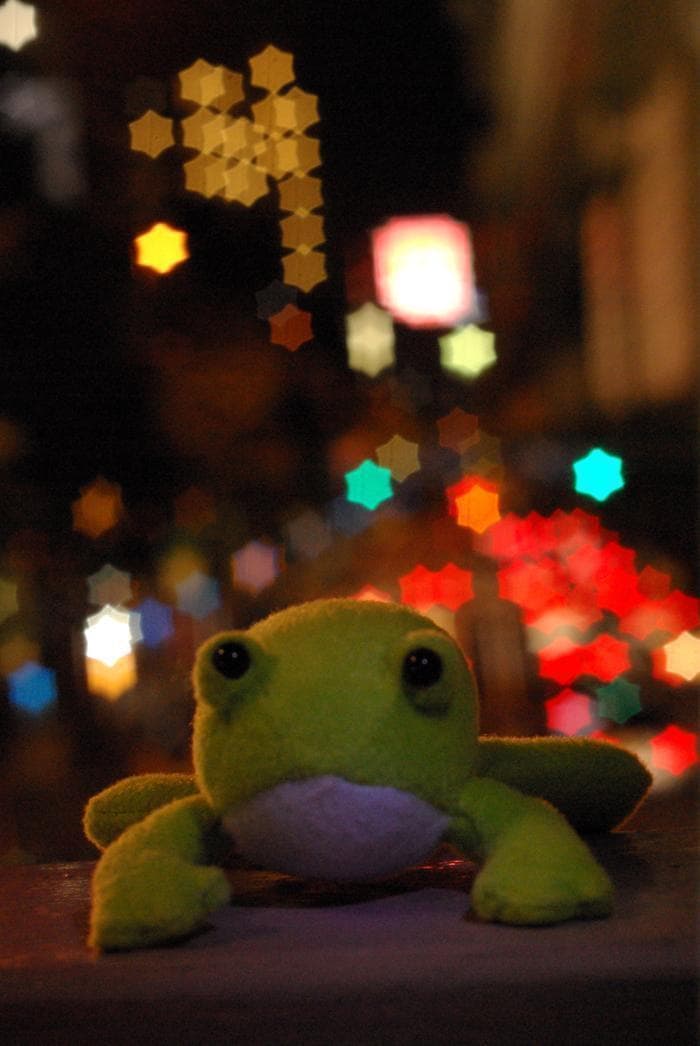 24　美品【希少】星ボケIndustar61 L/Z MC 50mm f2.8