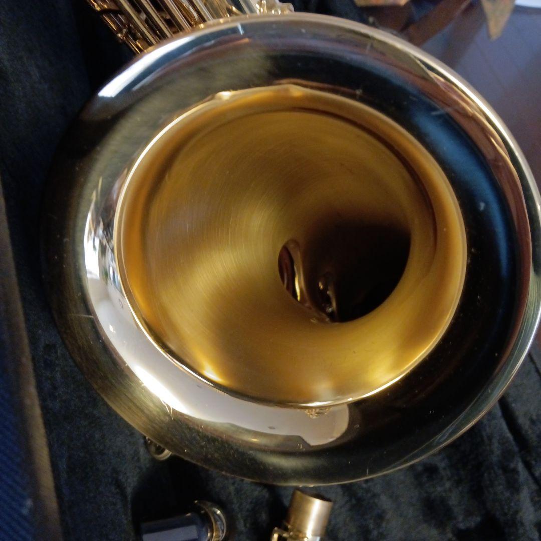 yanagisawa two10 ヘビー仕様テナーサックス