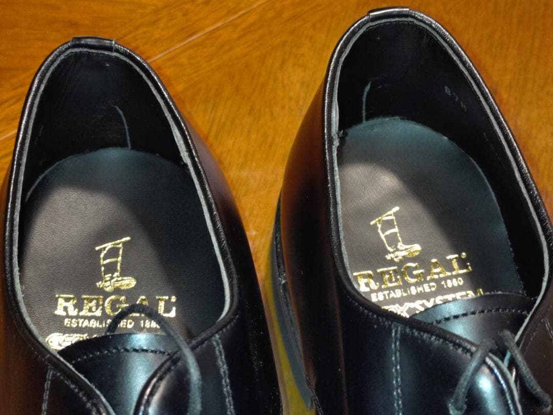 靴 REGAL GEOX W254 27EEE