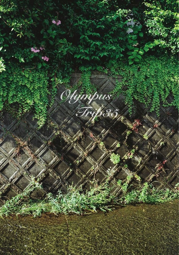 オリンパス trip35 ブラック★作例多数★完動品・美品・整備品