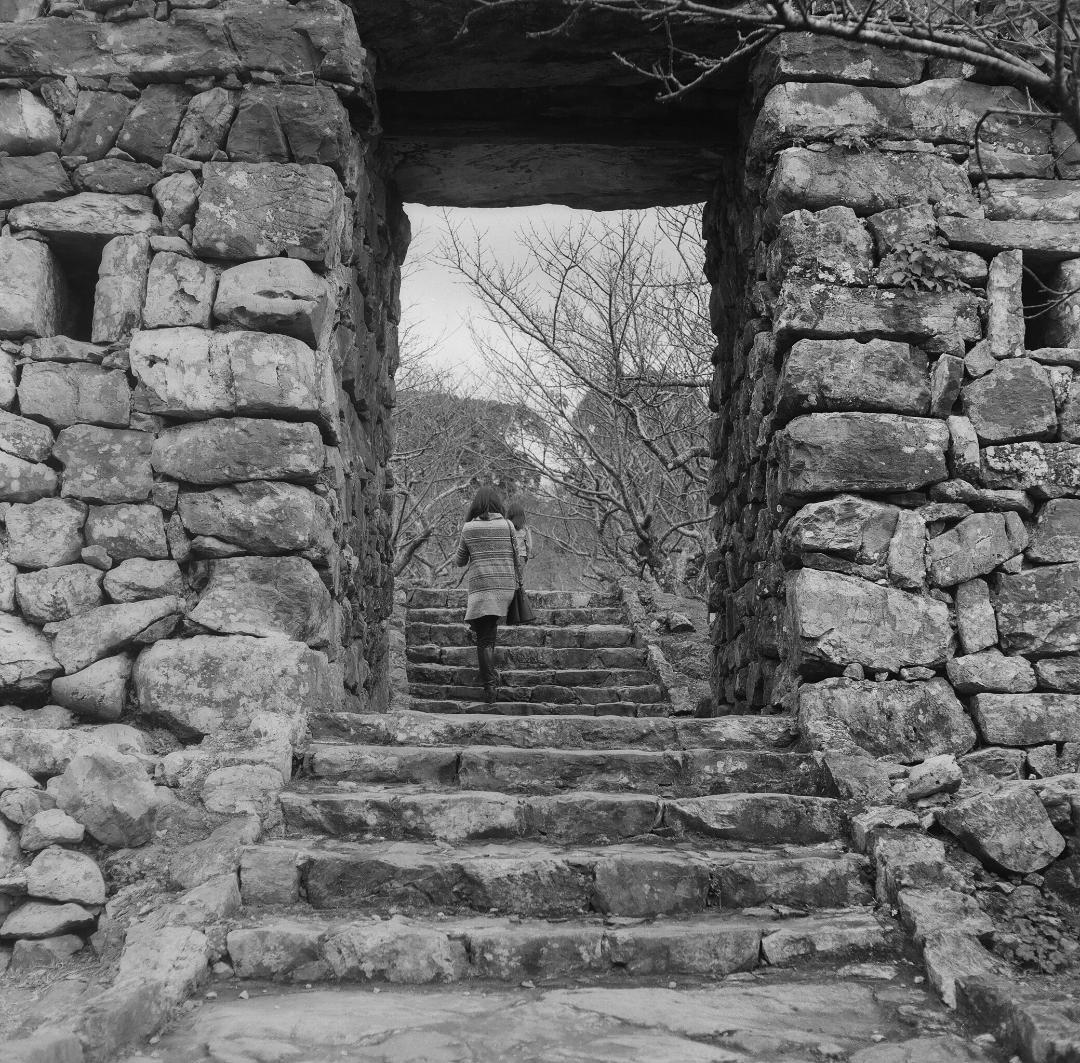 ASB　Rolleicord III ローライ コード 二眼レフ 実写済み