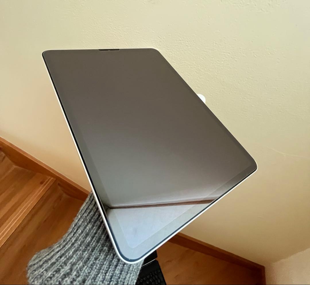 iPadPro 11インチ 256GB WiFiモデル　第2世代