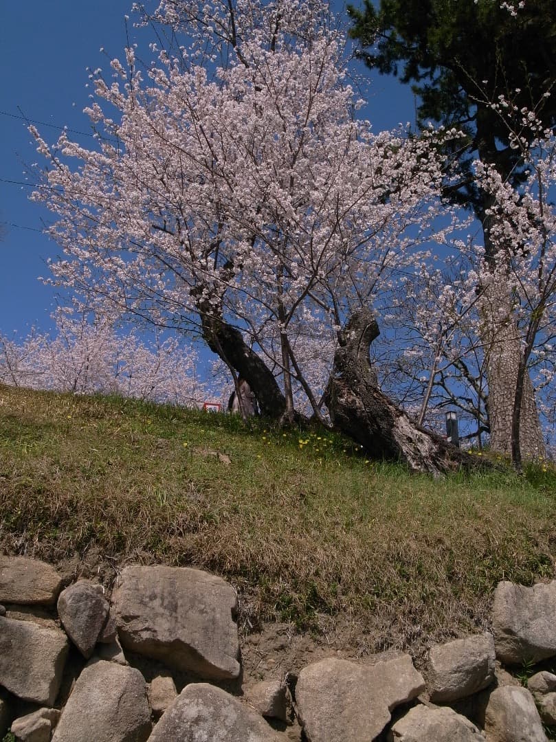 リコー　 GR DIGITAL Ⅱ と 付属品セット