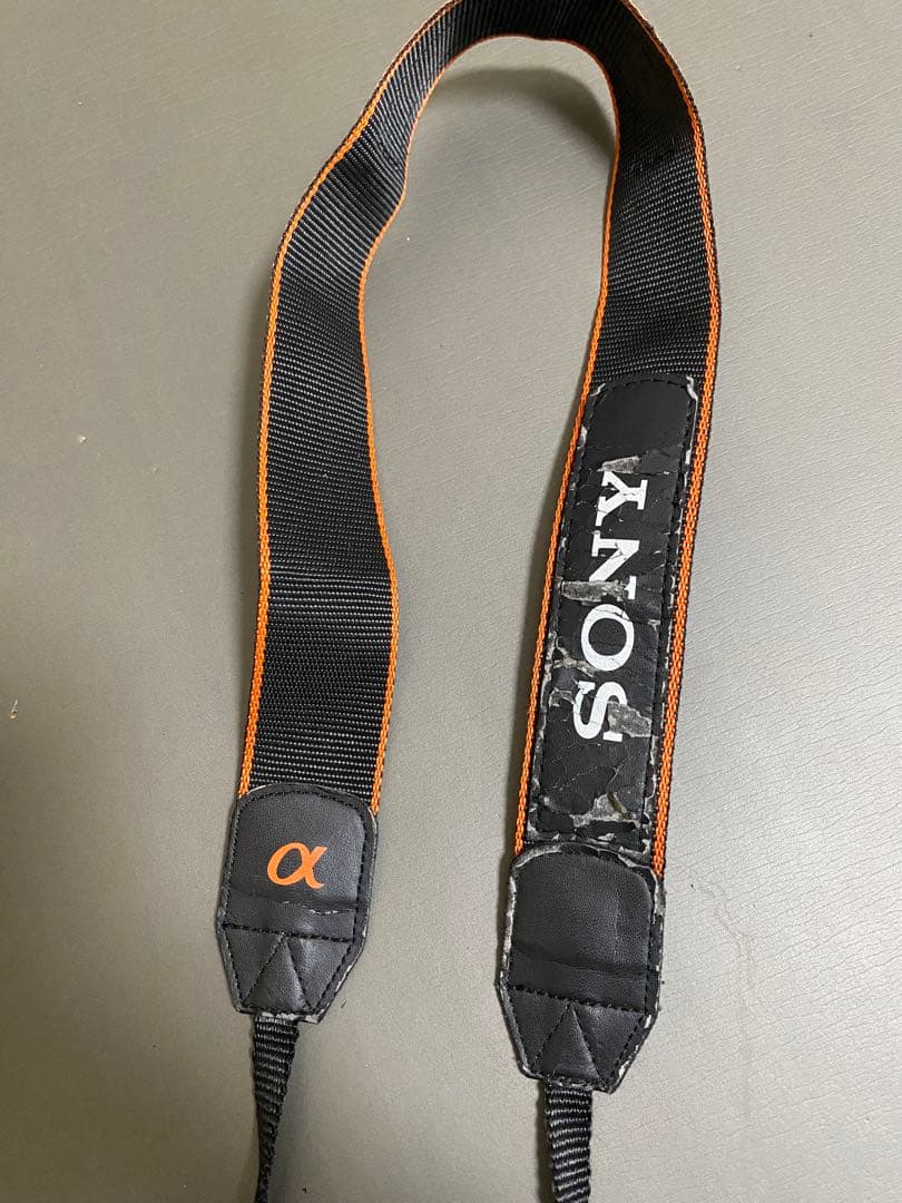 SONY SLT-A37 α37 カメラ レンズ2本セット