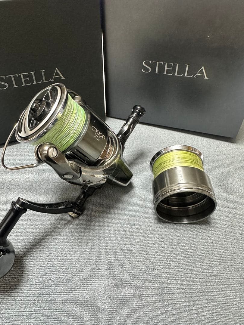 トゥンサフールページ