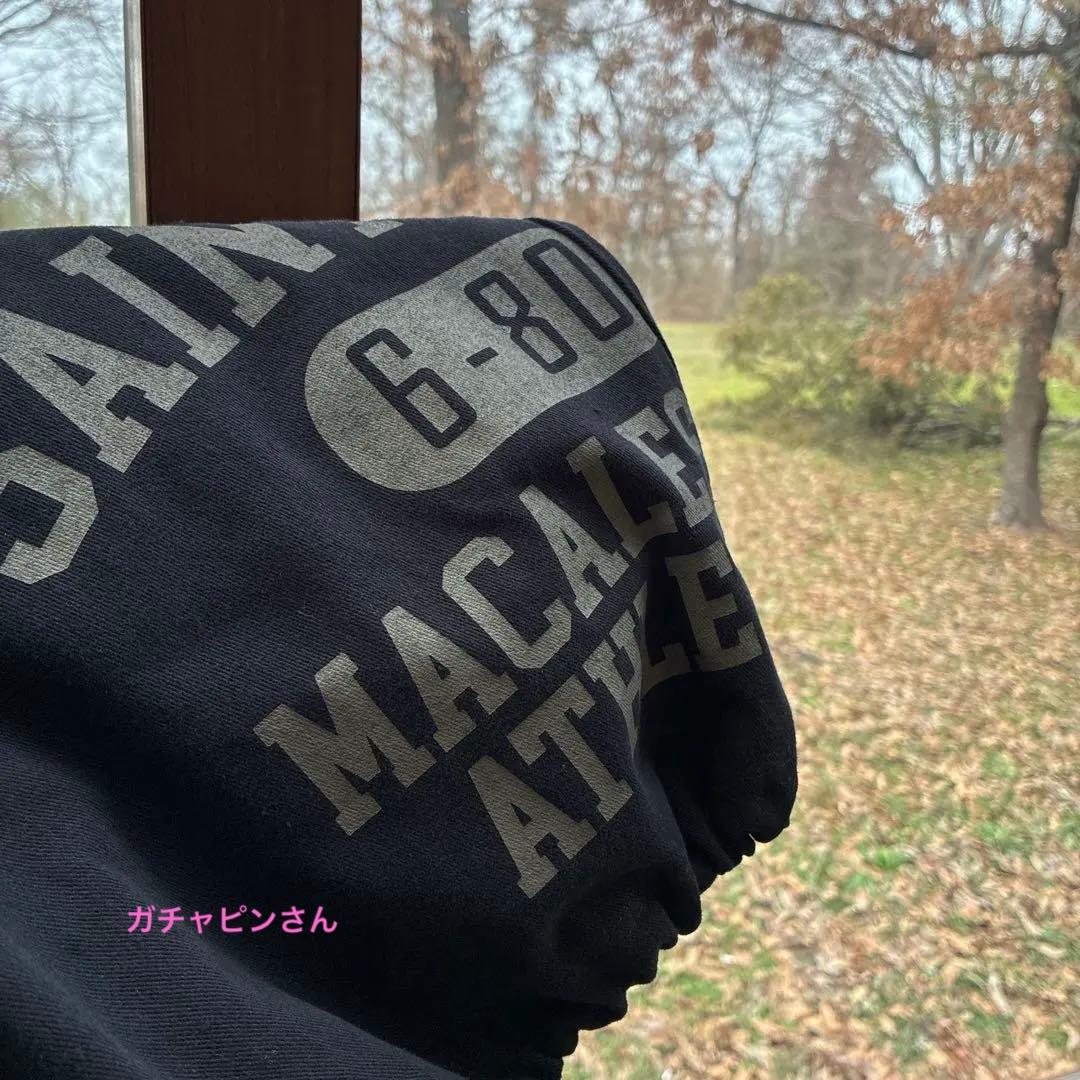 ガチャピンさん おまとめページ