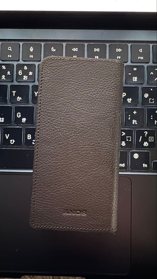 SONY NW-ZX507 本体+ ケース