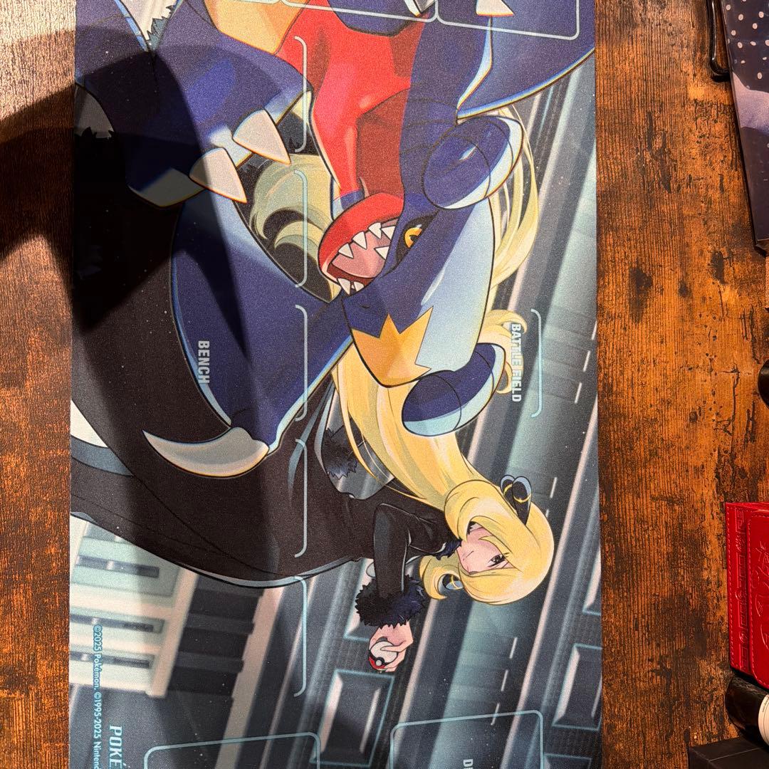 ポケカ引退品（構築済みデッキや周辺グッズ付き！）