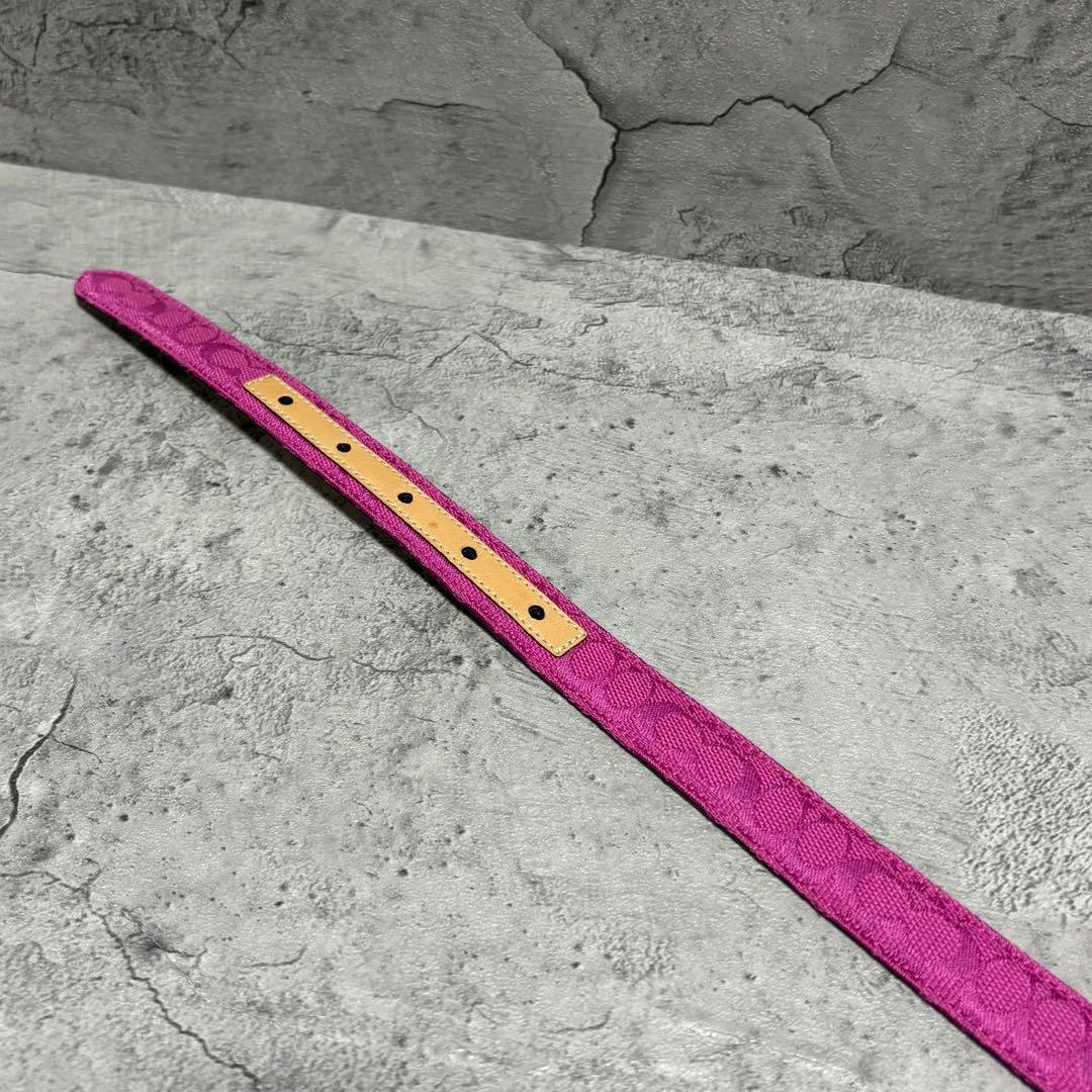 希少✨️Coach Signature Leather Belt in Pink