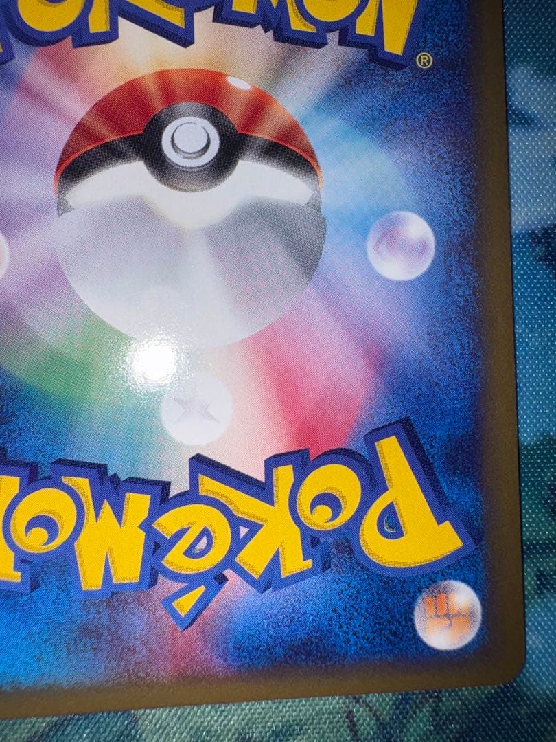 確認用（購入された場合ウォンバットのお写真送ります）