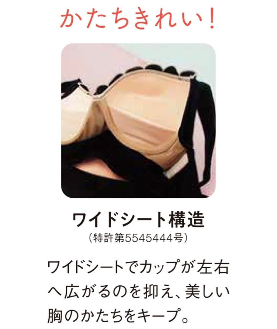 三愛水着楽園 ブラック ビキニ