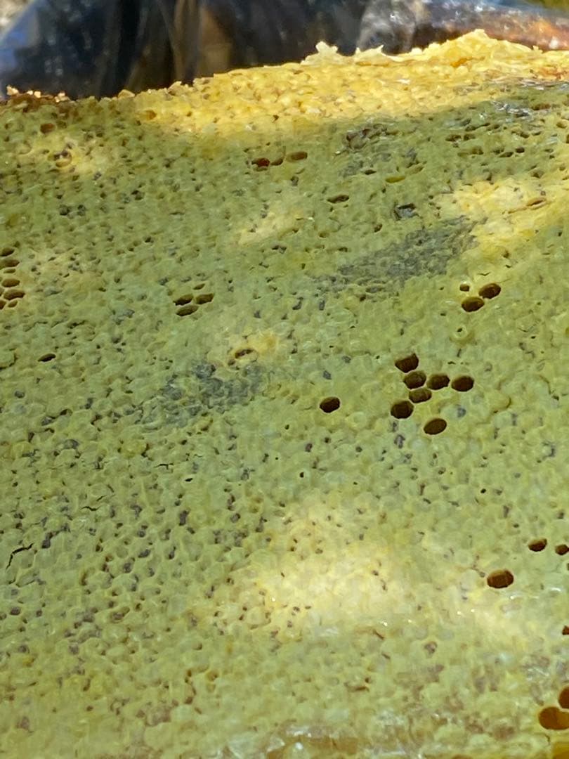 ハチミツ　日本蜜蜂の蜂蜜　奥山の奥のはちみつ