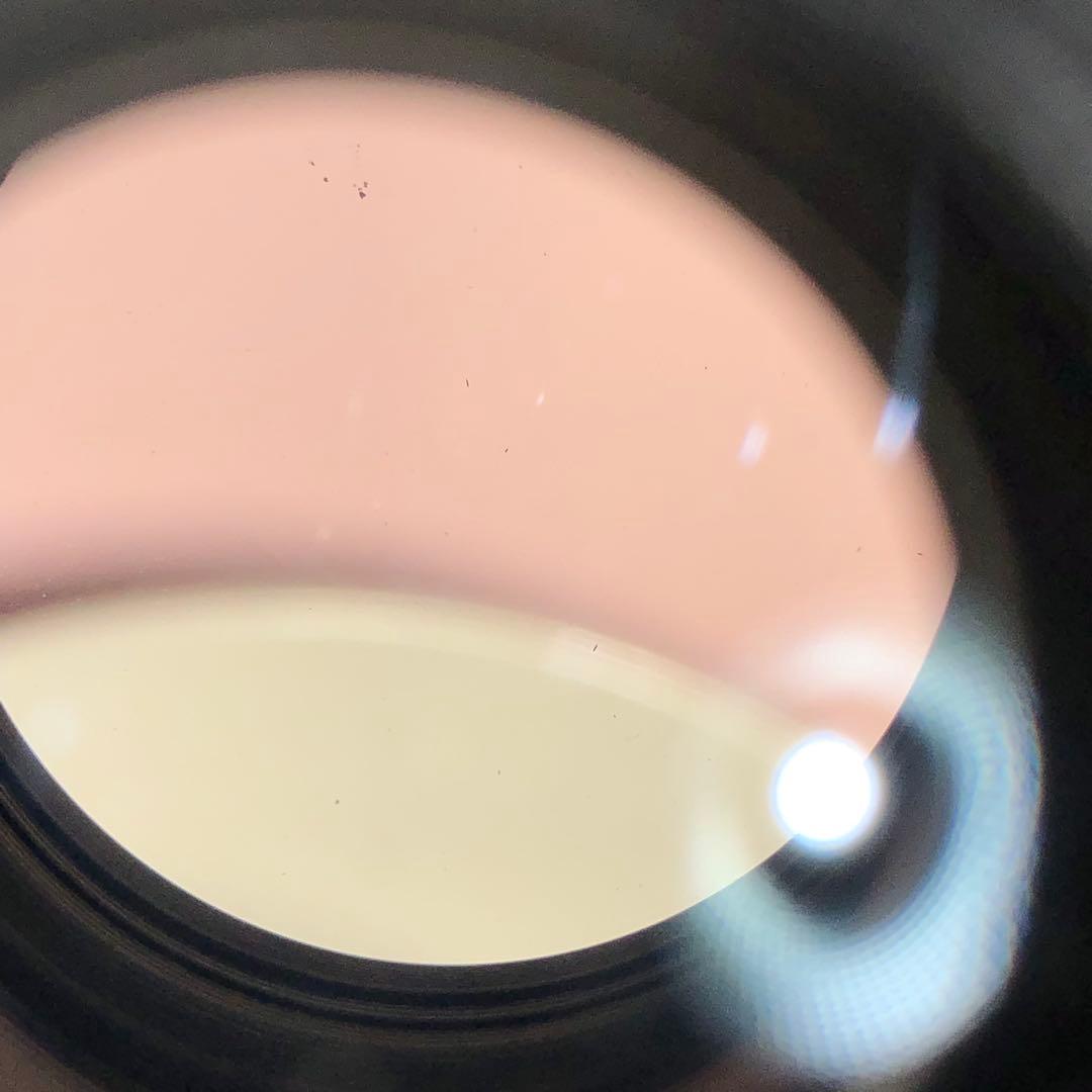 ゼブラ柄　REVUE 135mm f2.8 m42マウント