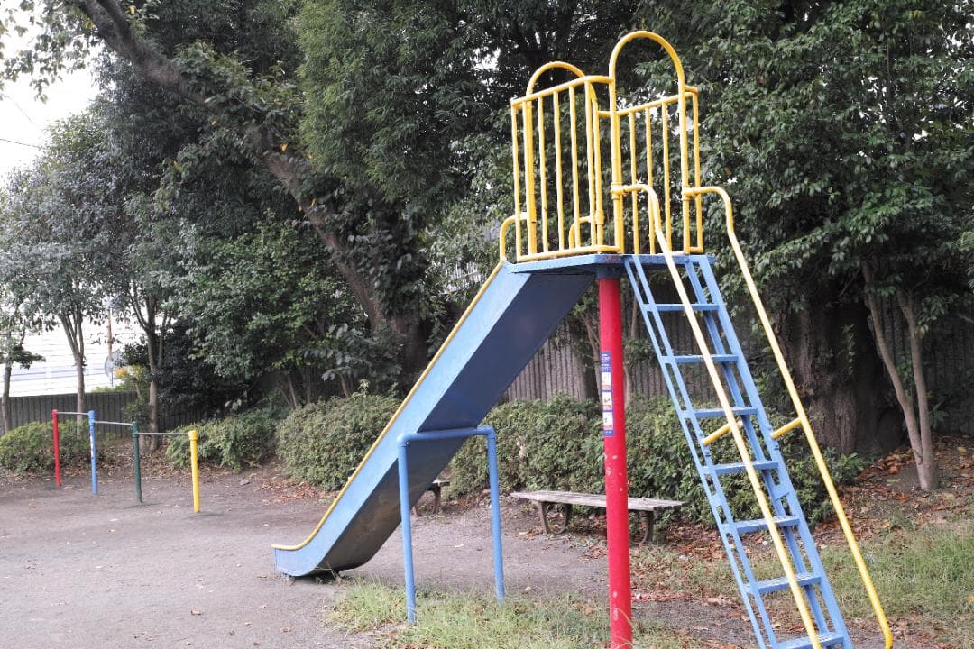 SIGMA DP2 Merrill　デジタルカメラ　元箱・ビューファインダー付